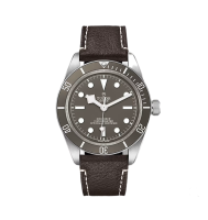 Tudor Black Bay 58 925 M79010SG-0001 Silver 39mm - Like New 2024