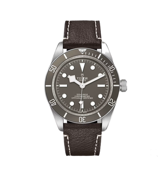 Tudor Black Bay 58 925 M79010SG-0001 Silver 39mm - Like New 2024