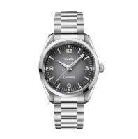 Omega Seamaster Railmaster 38mm 23510382006001 Steel Grey Dial - Like New 2025